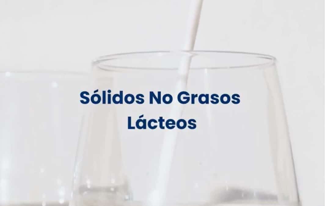 Sólidos No Grasos de la Leche: el equilibrio perfecto del helado artesanal
